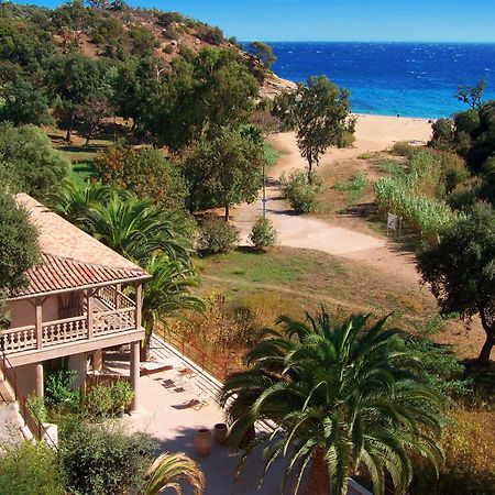 Le Clos Des Sept Palmiers Cavalaire-sur-Mer Buitenkant foto