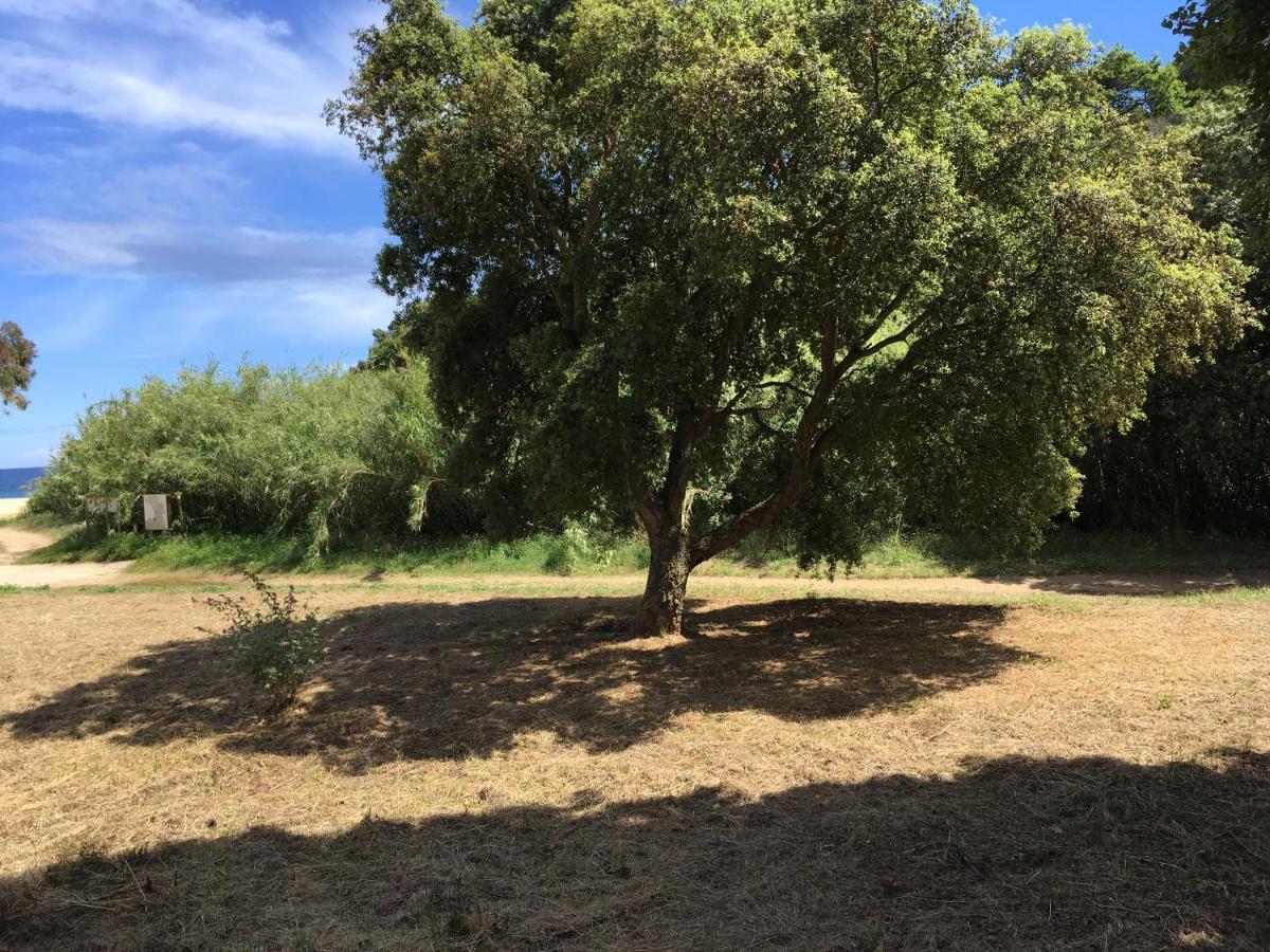 Le Clos Des Sept Palmiers Cavalaire-sur-Mer Buitenkant foto